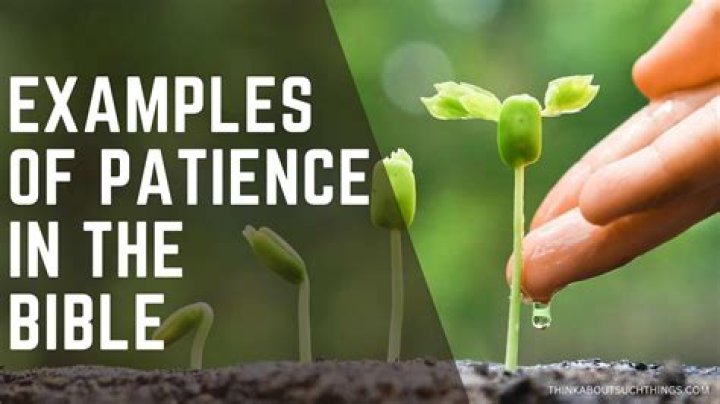 Jesus is `perfect example of patience'